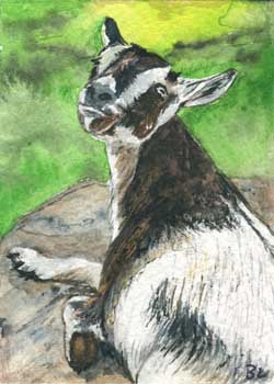 "Billy Goat Gruff" by Beverly Larson, Oregon WI - Watercolor